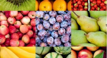 Κολλάζ φωτογραφιών φρούτων