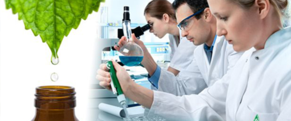 Επιστήμονες στο εργαστήριο μελετούν τη δημιουργία φυτικών παρασκευών